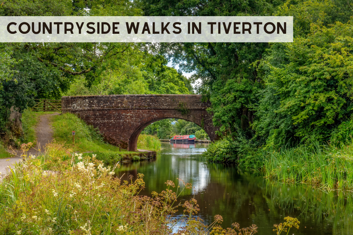 Bridge on the Tiverton Canal surrounded by trees with a barge in the water under the bridge,