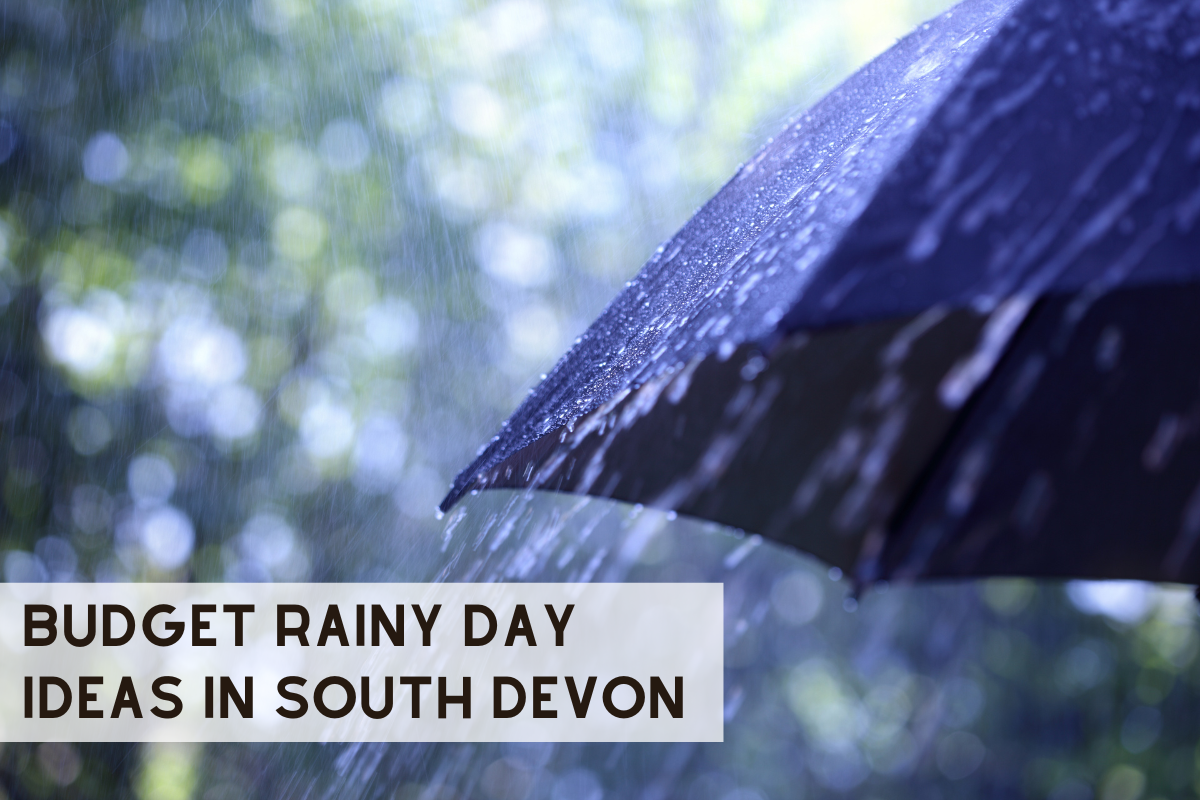 Raindrops falling on umbrella with text "Budget Rainy Day Ideas in South Devon"