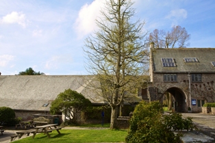 Discover The Unique Barn Cinema Dartington Visit South Devon