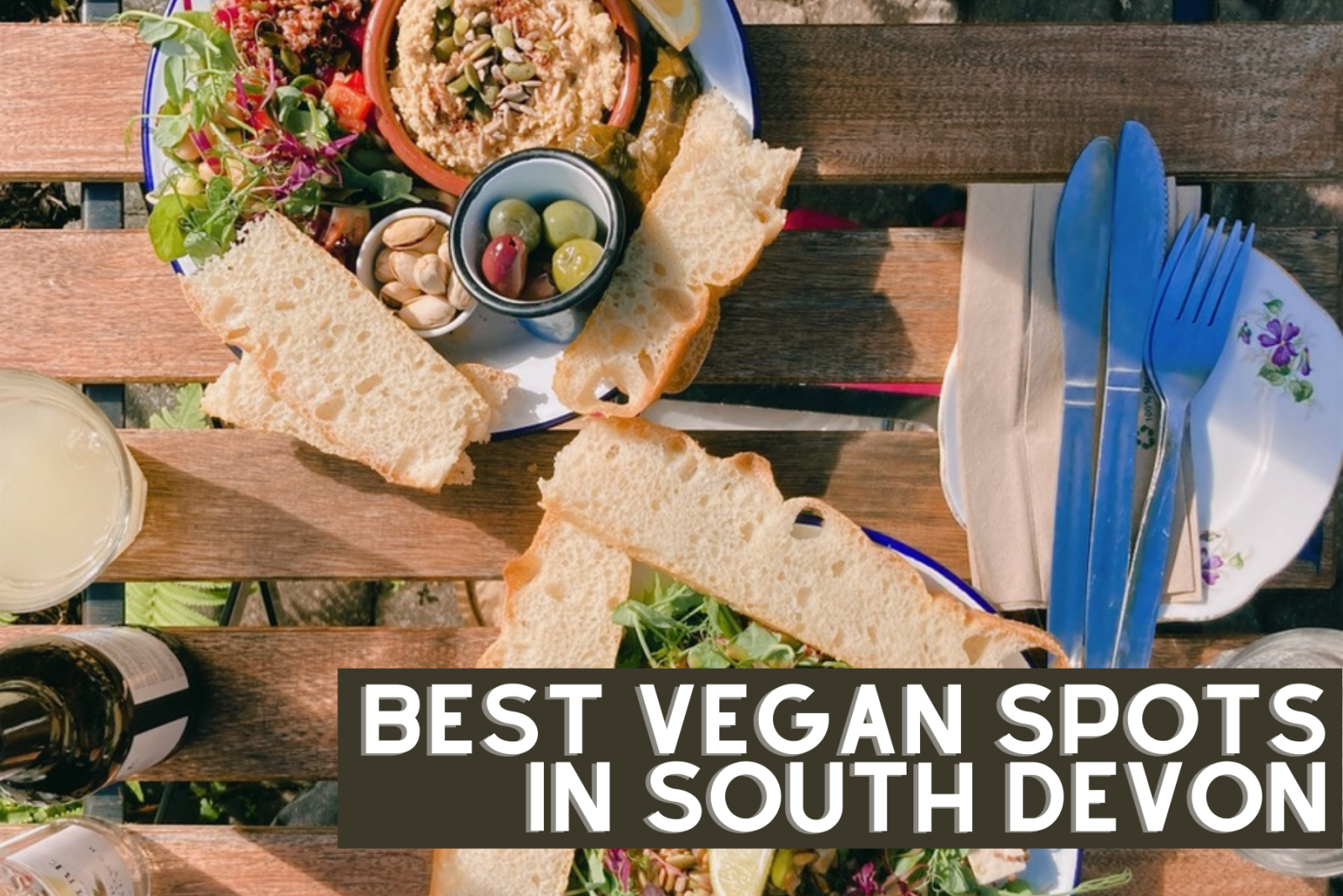 https://www.visitsouthdevon.co.uk/dbimgs/Vegan%20spots%20in%20South%20Devon.png