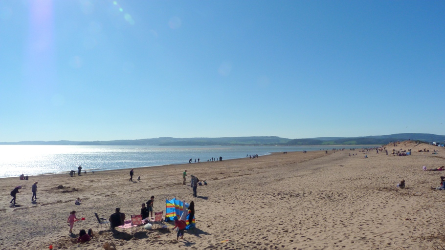 is sandy bay beach dog friendly