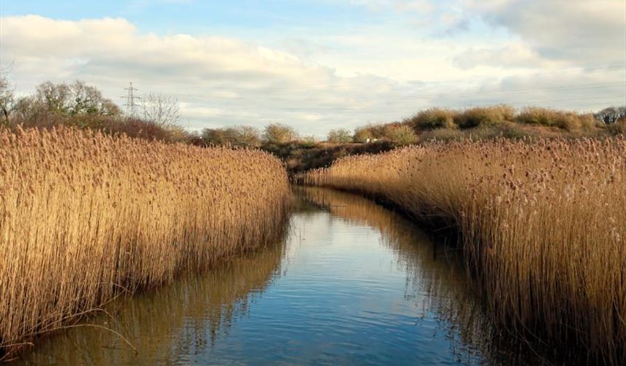 hackney-marshes-visit-south-devon